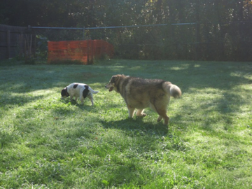 Cedar & Sadie Cedar & Sadie